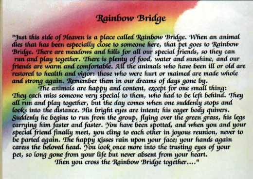 RainbowBridge1.jpg